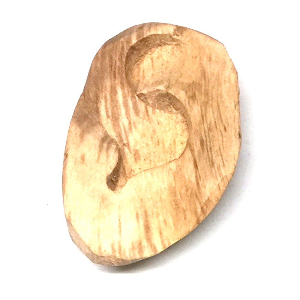 Display aid wood ear