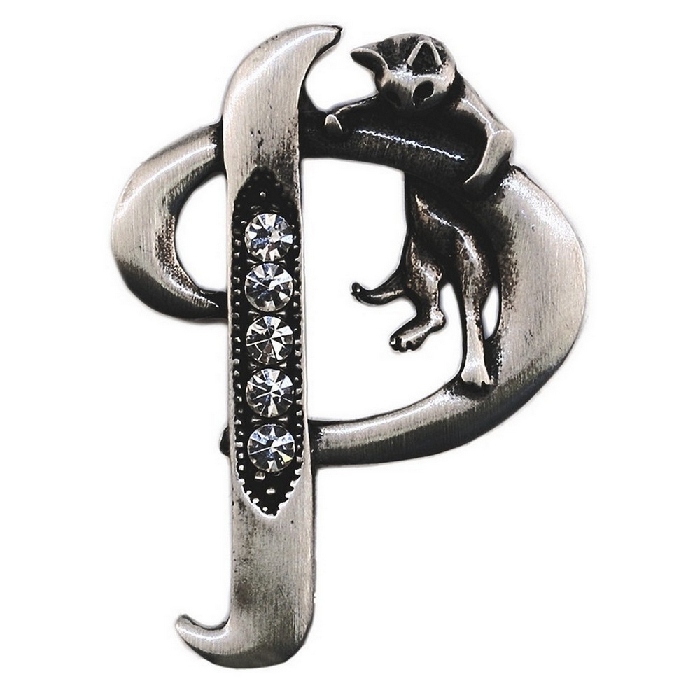 Brooch pewter initial 'p' cat/stones