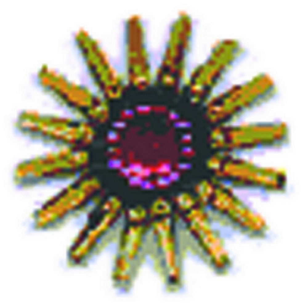 Tattoo applique