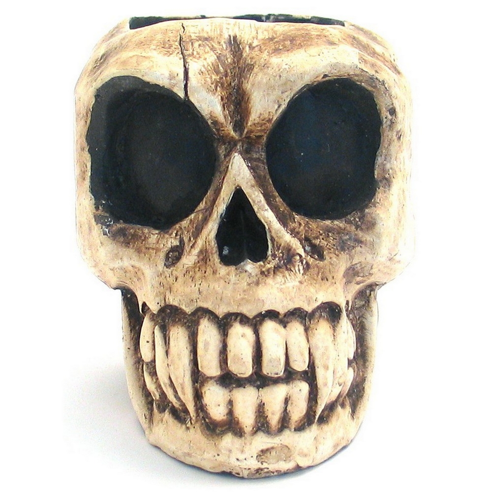 Ornament wood skull