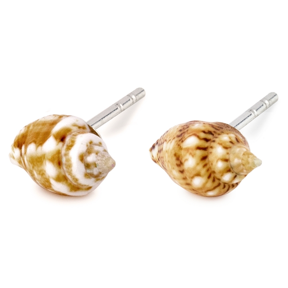 Stud earring shell beach shells brown