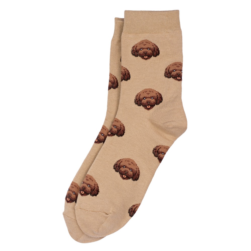 Socks cotton & spandex mini dogs labrador beige